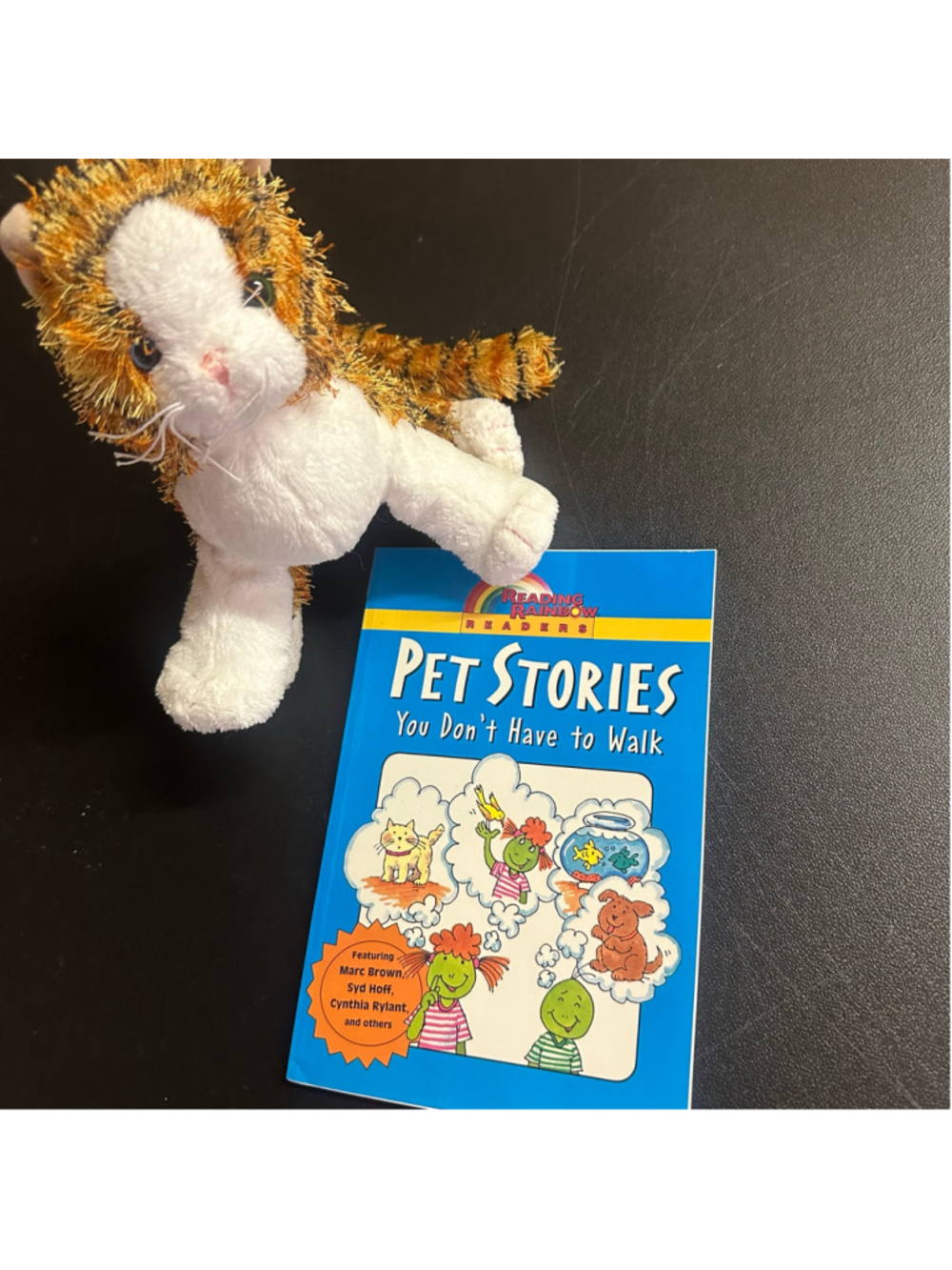 Y2K GANZ Cat Plush + Reading Rainbow Pet Stories Book Nostalgic Kids Bundle
